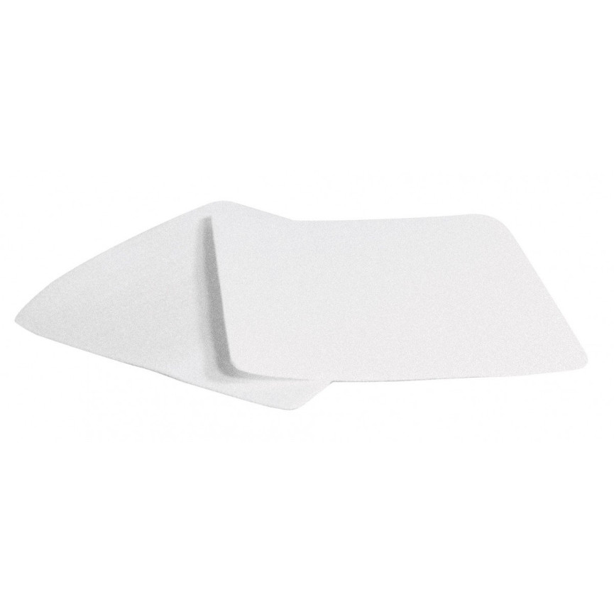 Felt Filter - Electrolux / Renaissance - Pack of 2 Filters