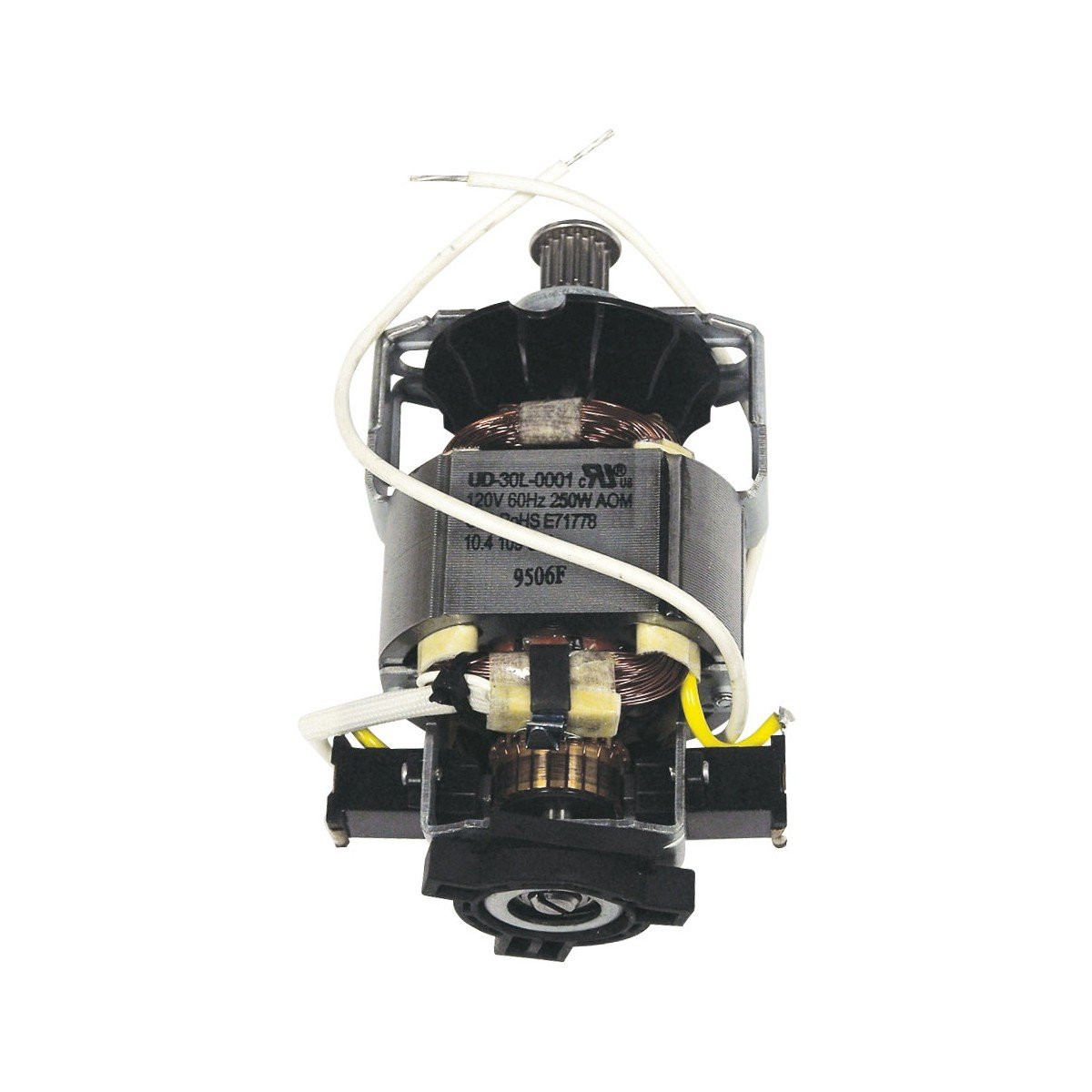 Complete Motor for Power Nozzle Wessel Werk PN360, EBK360 - 120 V