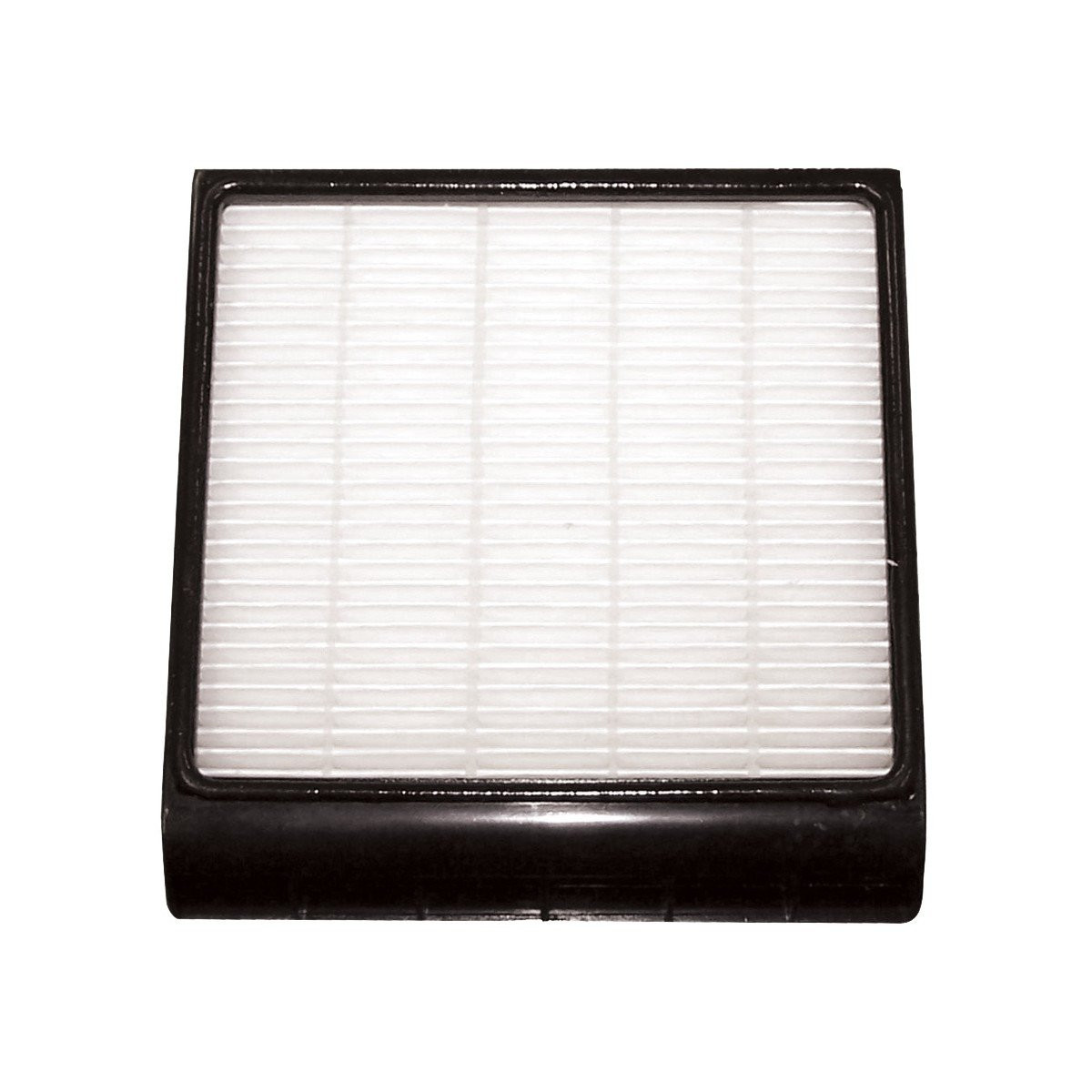 HEPA Cartridge Filter - Fantom Lightning