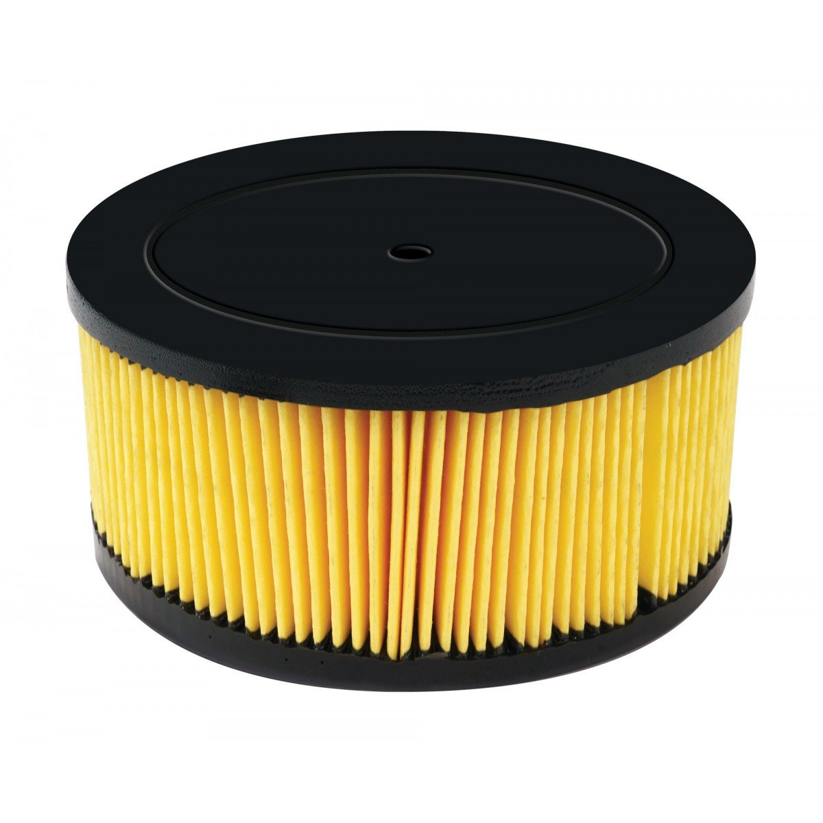 HEPA Cartridge Filter for Johnny Vac JV5 Vacuum Cleaner - RIC.2512709