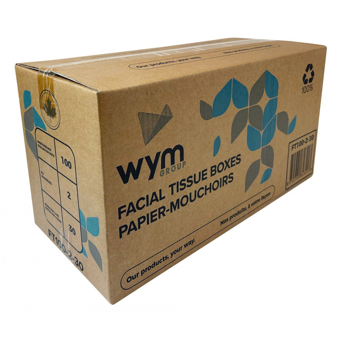 2-Ply Facial Tissues - Pack of 30 Boxes, 100 Tissues per Box